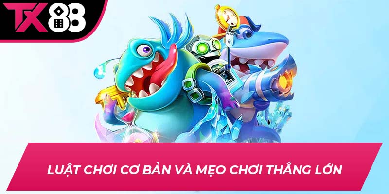 Luật chơi cơ bản và mẹo chơi thắng lớn