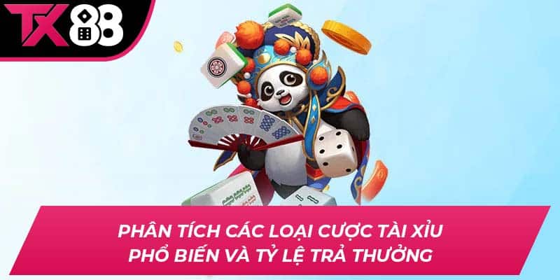 Phân tích các loại cược Tài Xỉu phổ biến và tỷ lệ trả thưởng