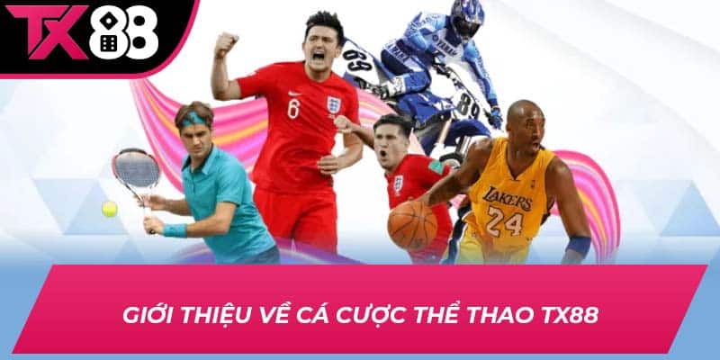 Giới thiệu tổng quan đá gà TX88