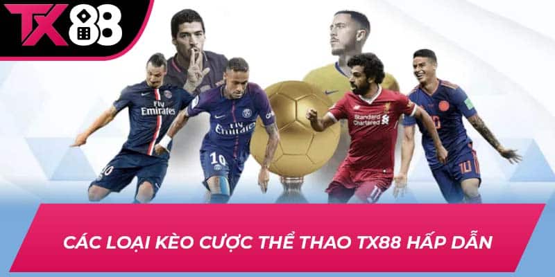 Lợi ích của việc đá gà TX88